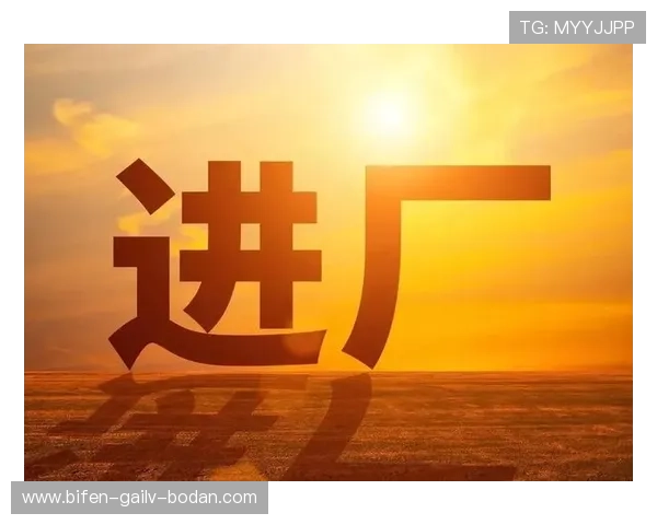 买波胆哪个平台好 避坑指南电子真人规则技巧防骗
